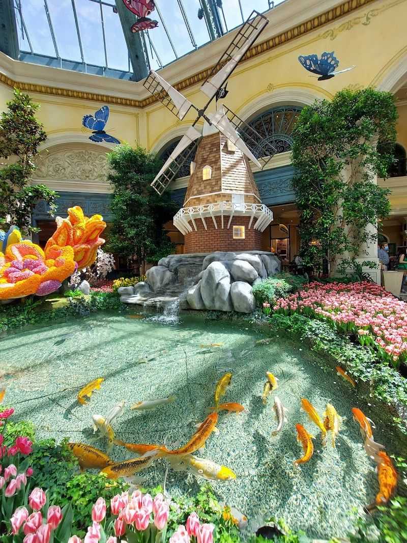 Peaceful Koi Ponds Tucked Among the Flowers
