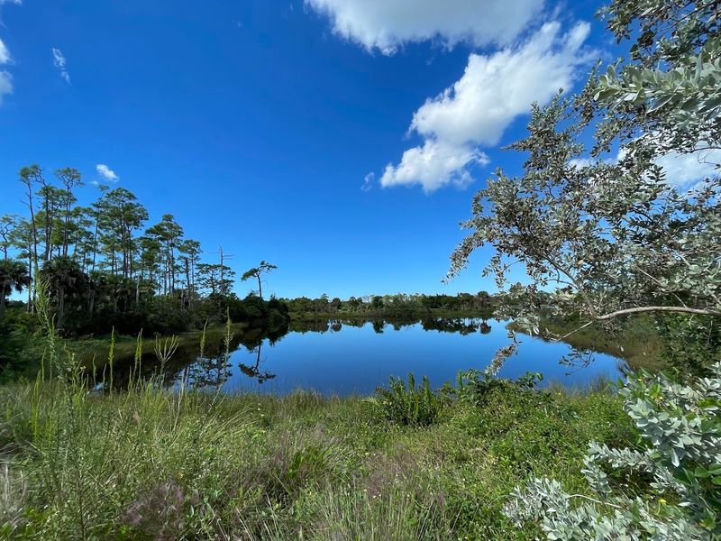 Peaceful Lakeside Trails Perfect for a Morning Walk