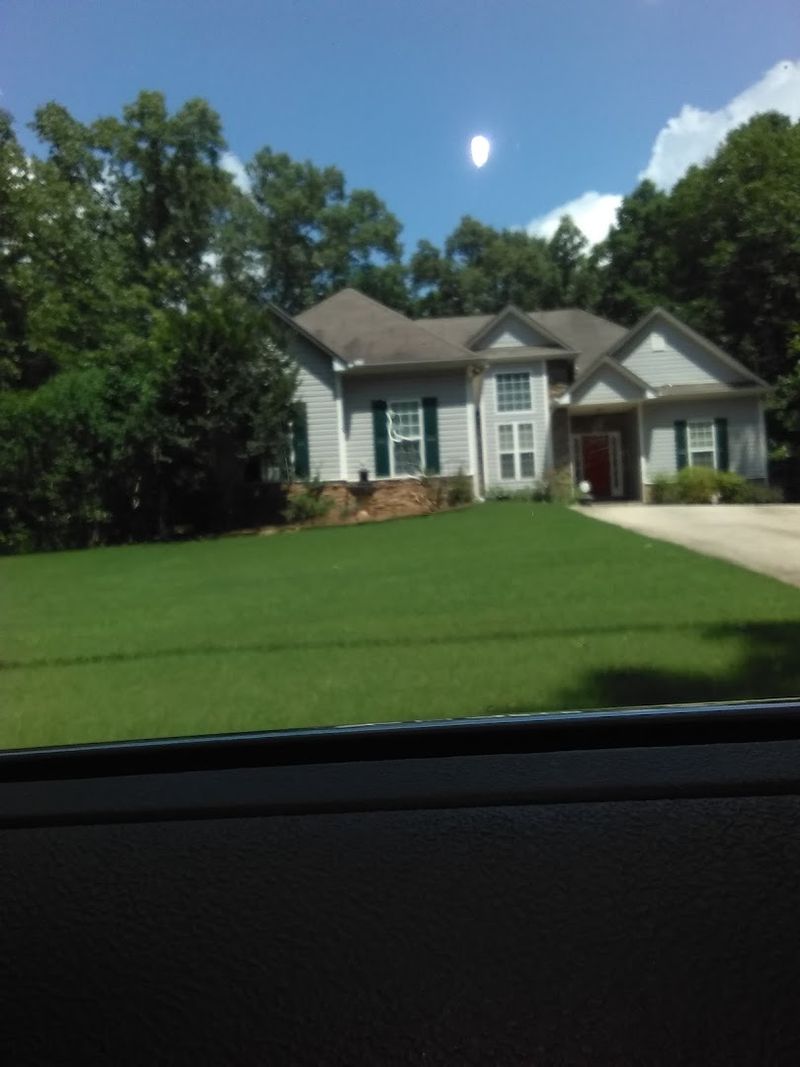 Peaceful Neighborhood Walks and Scenic Drives