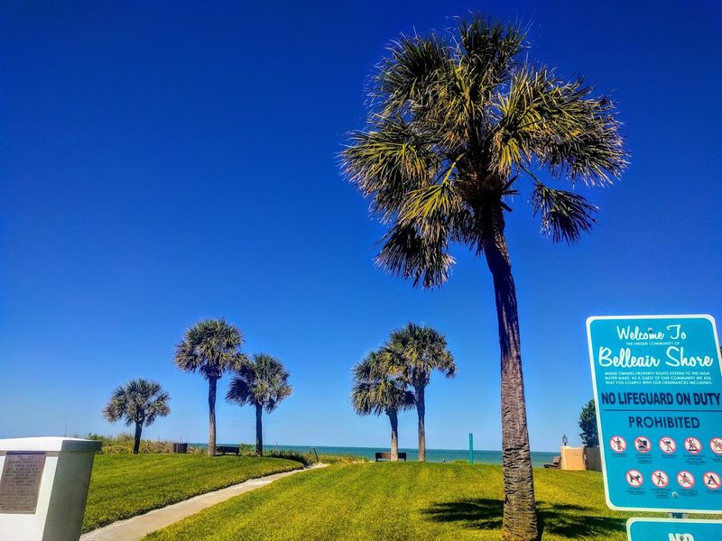 Peaceful Parks Perfect for Relaxing or Picnicking