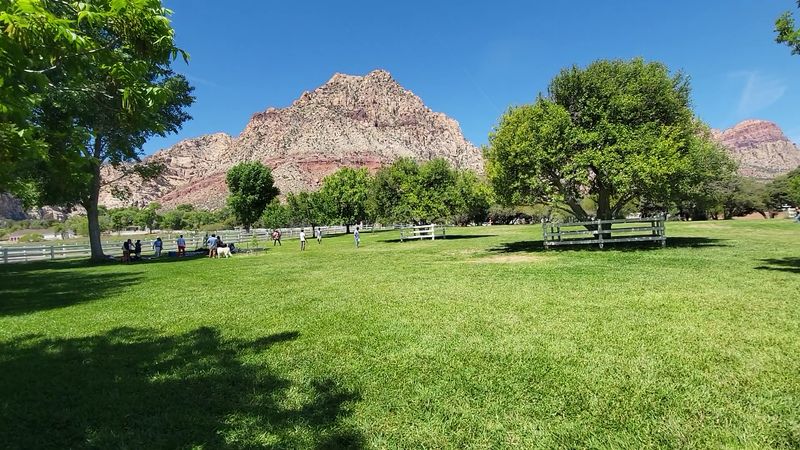 Peaceful Picnic Areas Perfect for Families