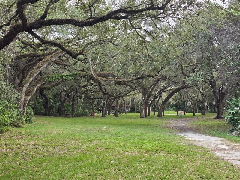 Peaceful Picnic Areas and Pavilions
