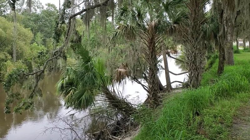 Peaceful Rural Landscape for a Slower Pace of Life