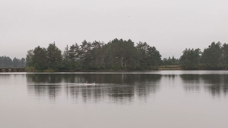 Peaceful Solitude and Natural Silence