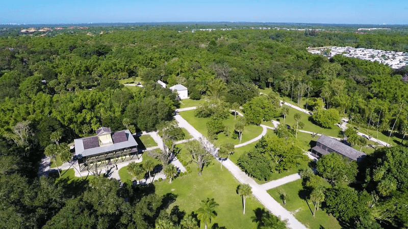 Peaceful Trails Through Old-Growth Florida Nature