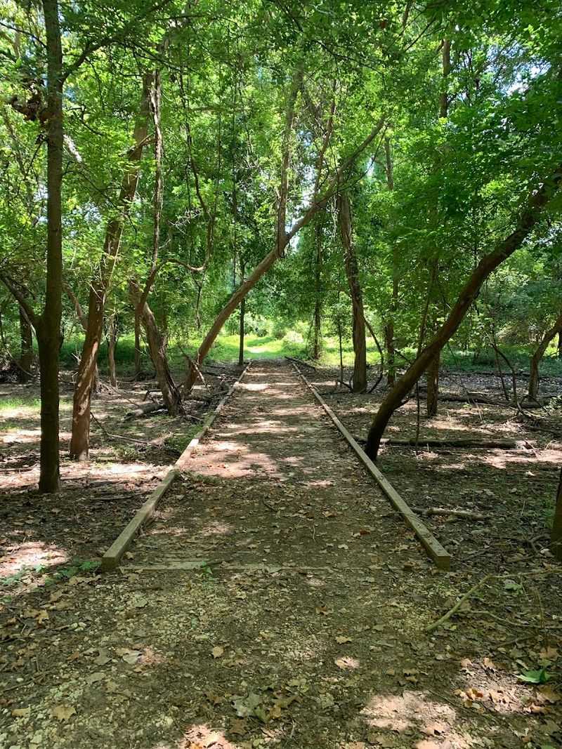 Peaceful Woodland Atmosphere Just Under an Hour From Houston