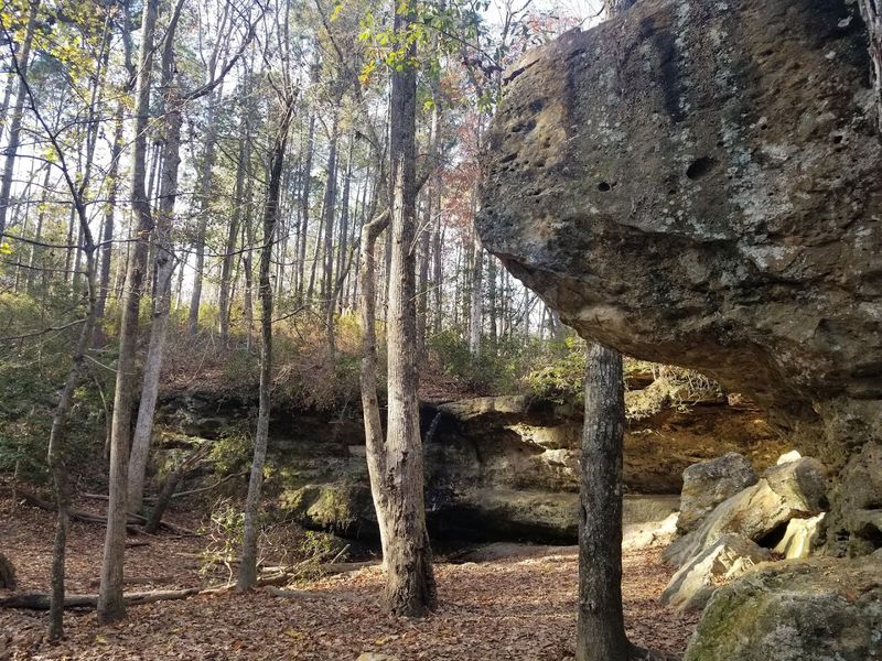 Peachtree Rock Heritage Preserve - Lexington, South Carolina