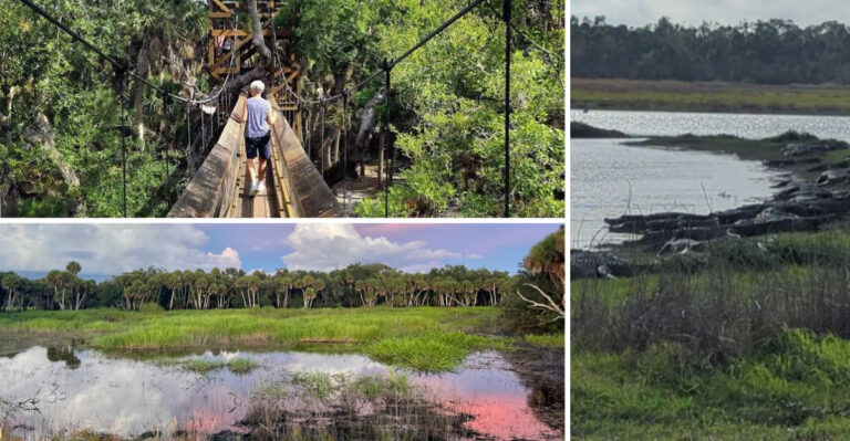 People Travel From Across Florida To Explore This Picturesque State Park