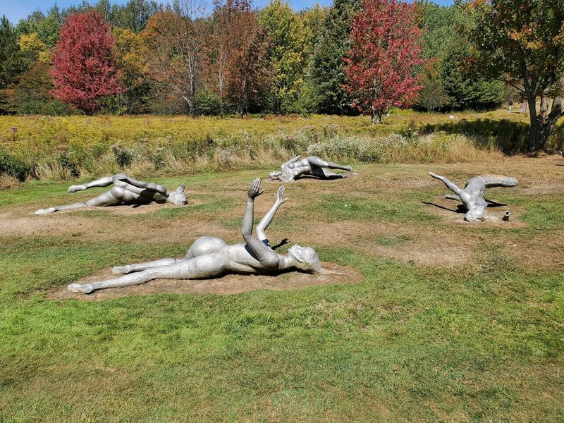 Perfect Picnic Spots Surrounded by Art and Nature