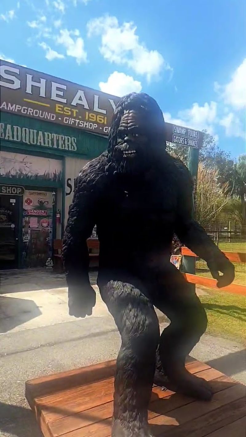 Perfect Pit Stop Along the Tamiami Trail