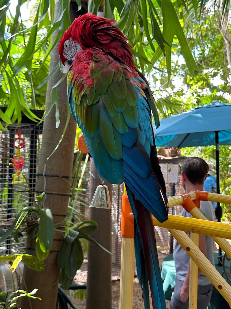 Perfect for Families, Bird Lovers, and Curious Travelers