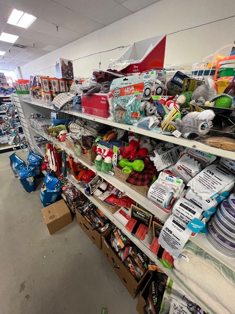 Pet Food and Pet Supplies for Your Furry Family Members