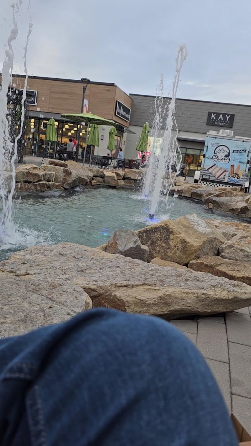 Pet-Friendly Amenities That Welcome Four-Legged Shoppers