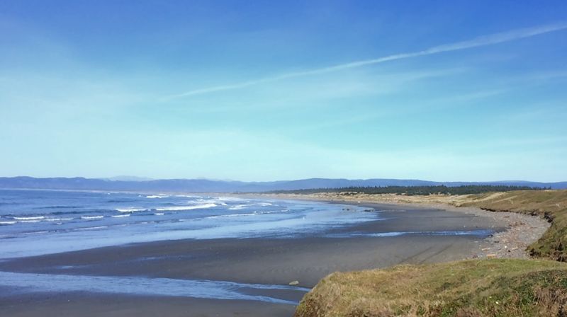 Pet-Friendly Beach Access That Dogs Absolutely Love