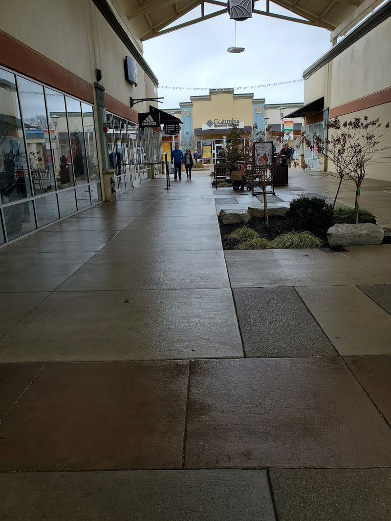 Pet-Friendly Common Areas for Four-Legged Shoppers