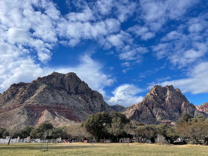 Pet-Friendly Trails for Four-Legged Adventurers
