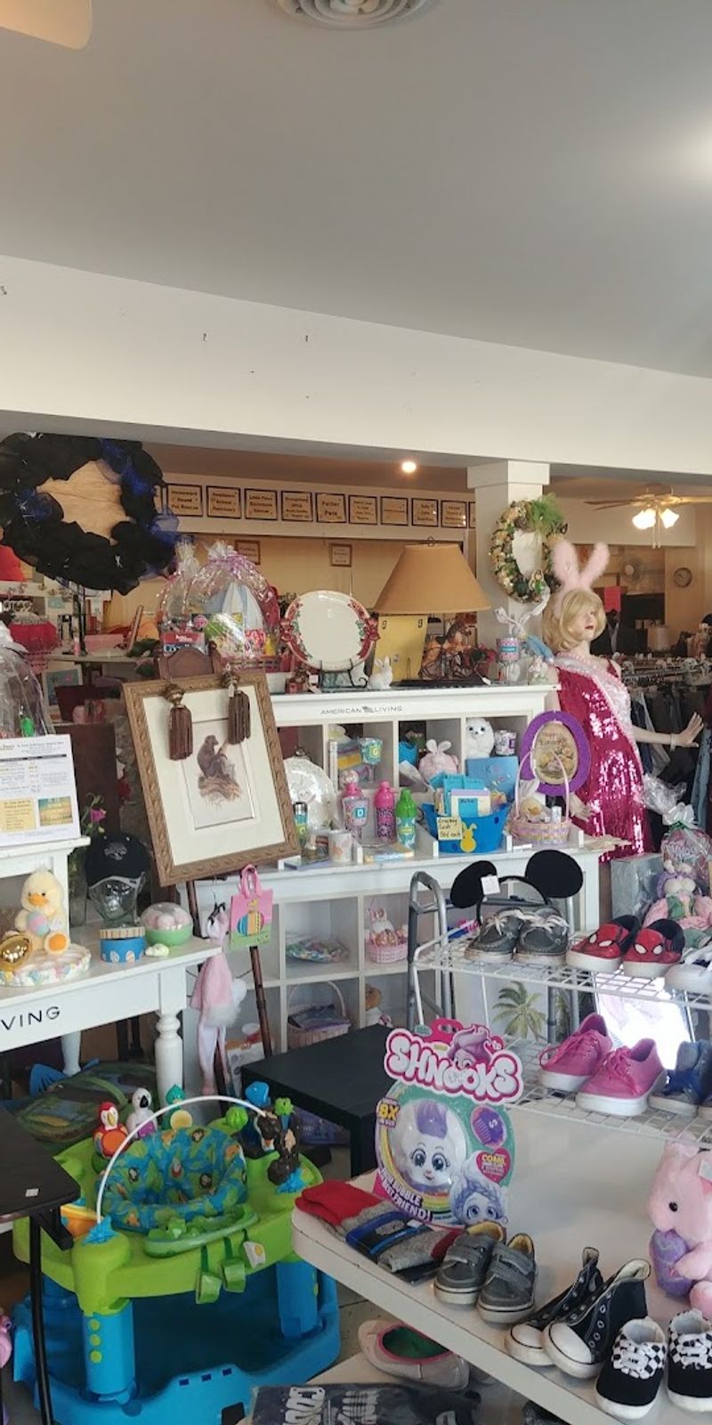 Pet Items That Reflect the Store's Animal Rescue Mission