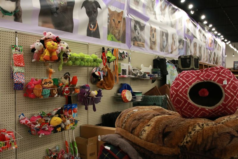 Pet Supplies Section That Animal Lovers Adore Pet Supplies Section That Animal Lovers Adore