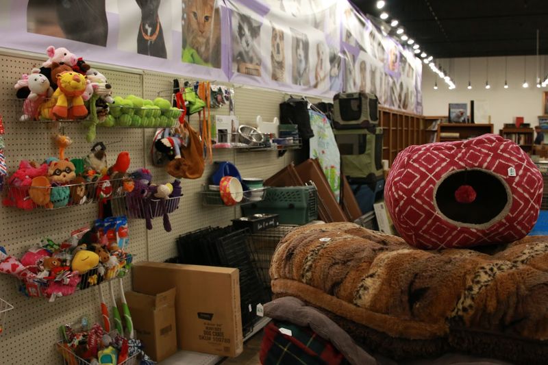 Pet Supplies at Prices That Make Pet Owners Smile
