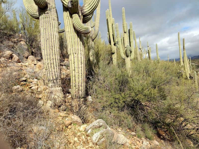 Photography Hikes Led by Ranger Michael: Learn While You Shoot Photography Hikes Led by Ranger Michael: Learn While You Shoot