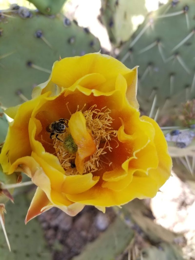 Photography Hikes Led by Ranger Michael