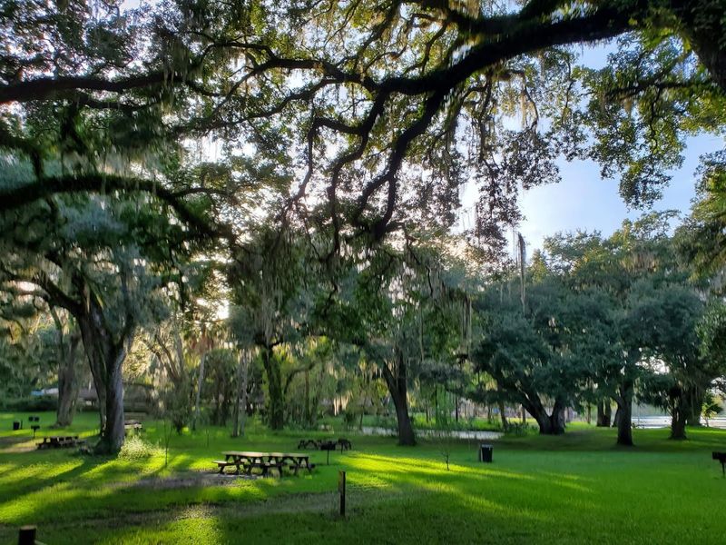 Picnic Areas, Grills, and Shady Spots for Family Gatherings