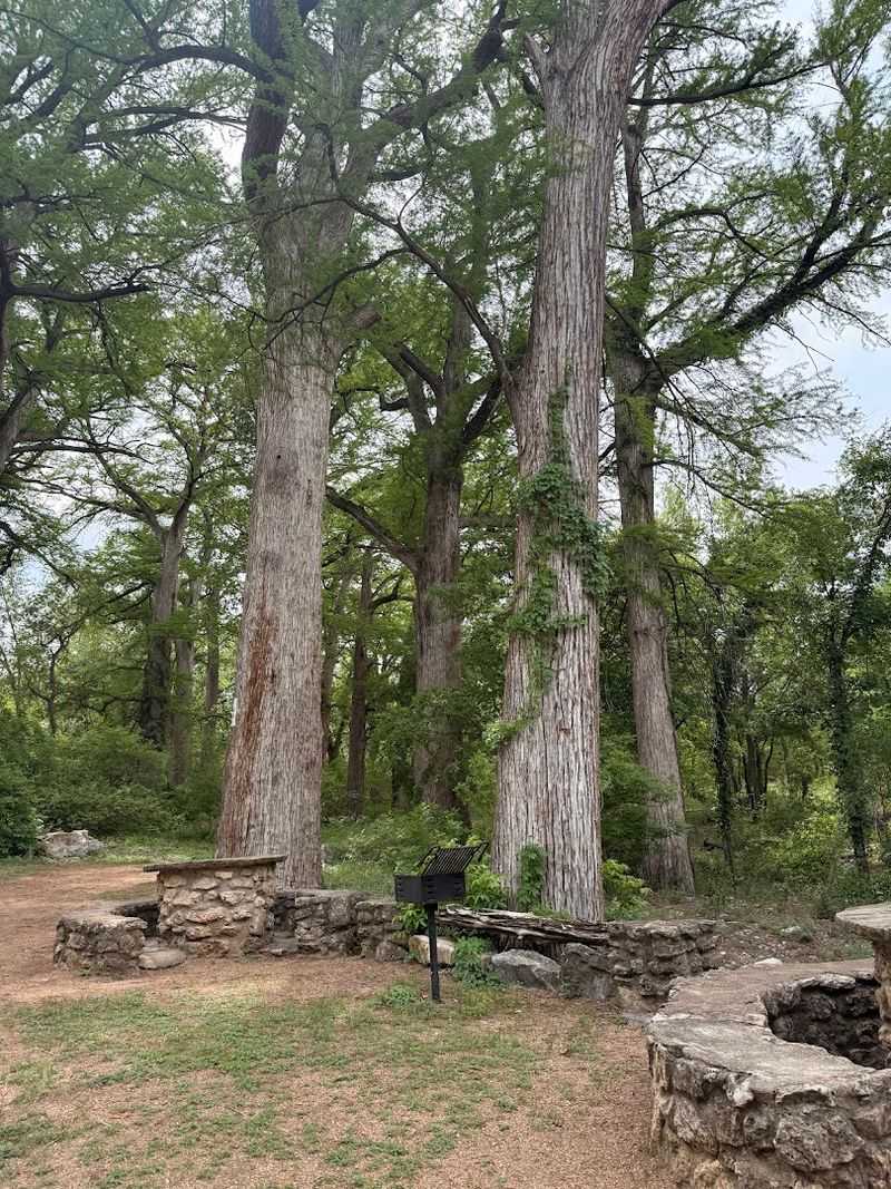 Picnic Areas, Grills, and a Full Day of Relaxing