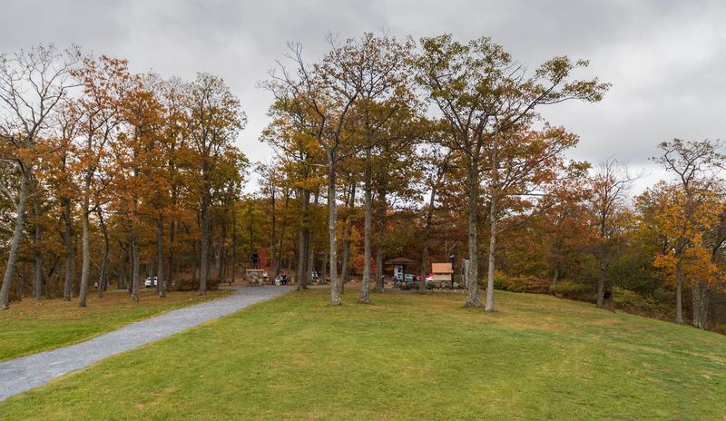 Picnic Areas Perfect For A Relaxing Afternoon