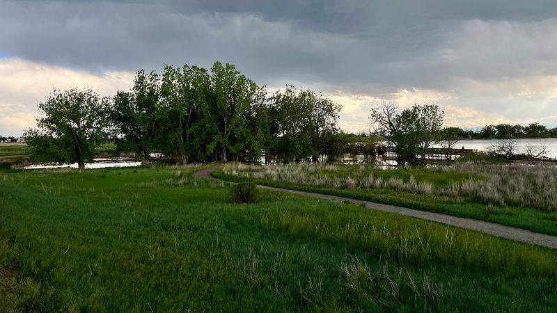 Picnic Areas Perfect for Families