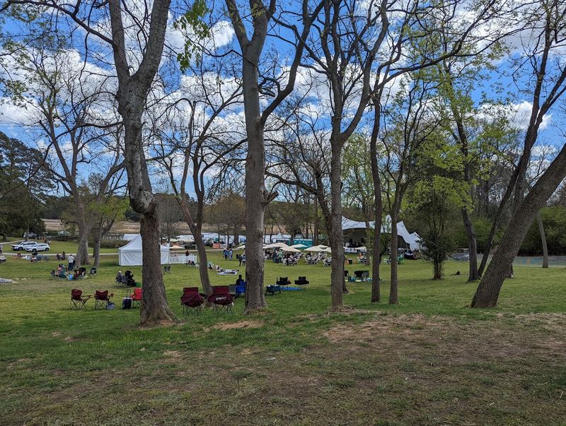 Picnic Areas Perfect for Family Gatherings
