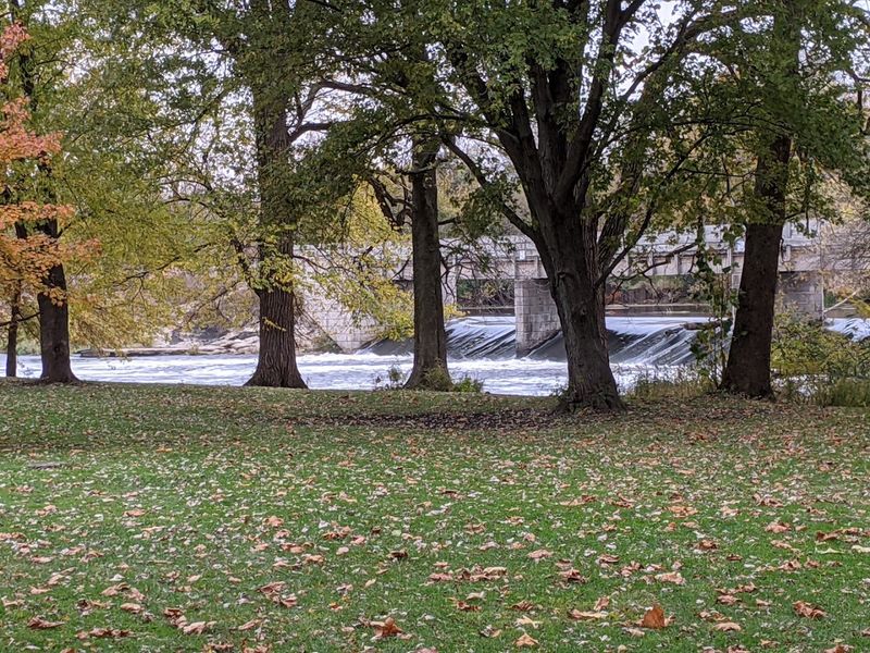 Picnic Areas Perfect for Family Outings
