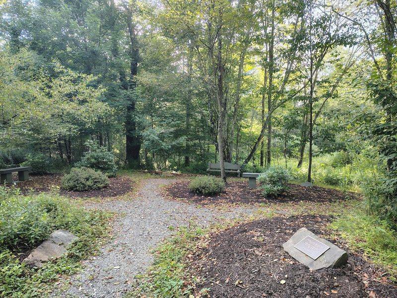 Picnic Areas Perfect for a Family Afternoon