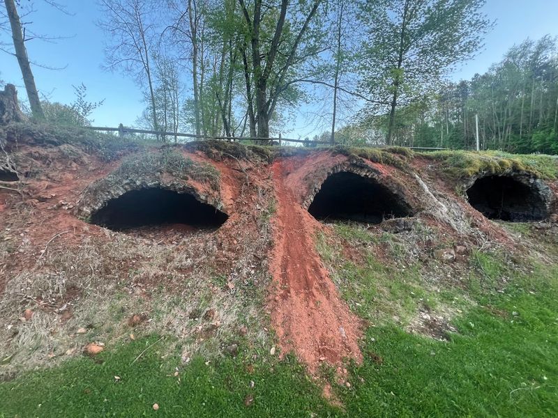 Picnic Areas Perfect for a Laid-Back Family Outing
