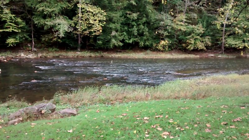 Picnic Areas Perfect for a Relaxed Family Outing Picnic Areas Perfect for a Relaxed Family Outing