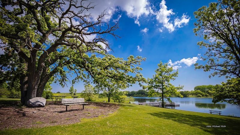 Picnic Areas Right on the Lakefront