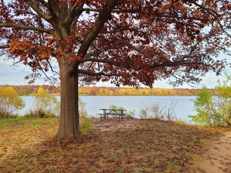 Picnic Areas Scattered Throughout the Park
