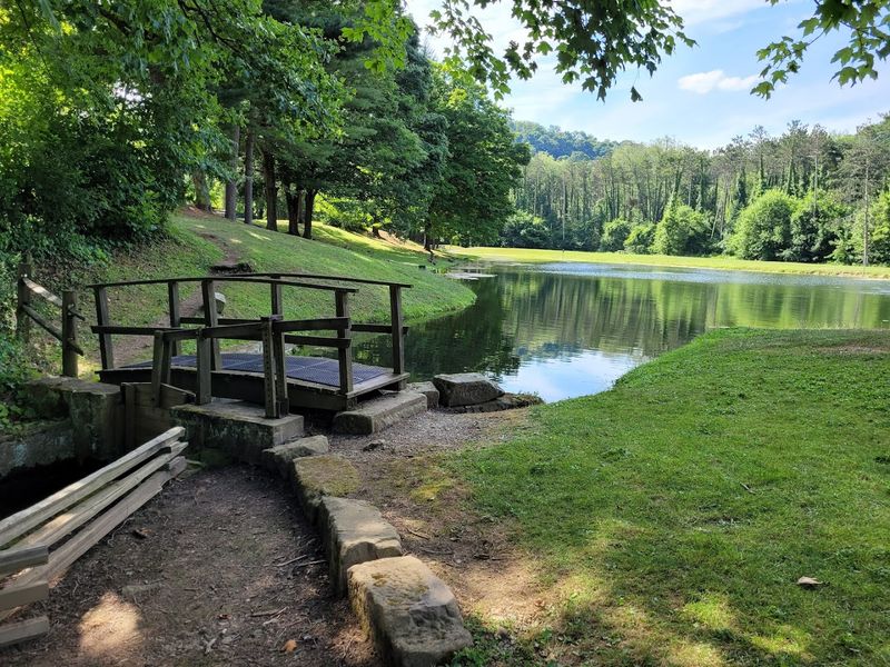 Picnic Areas That Make Every Meal Feel Like a Special Occasion