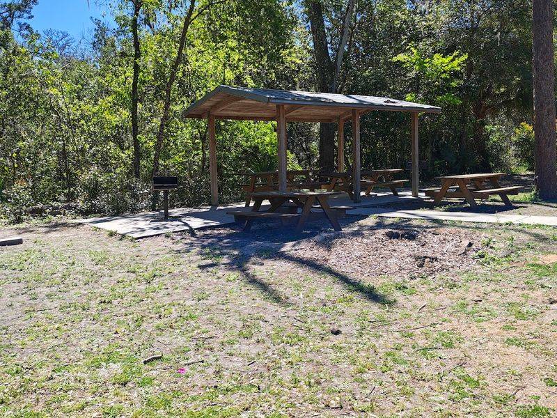 Picnic Areas, a Playground, and Family Amenities That Round Out the Day