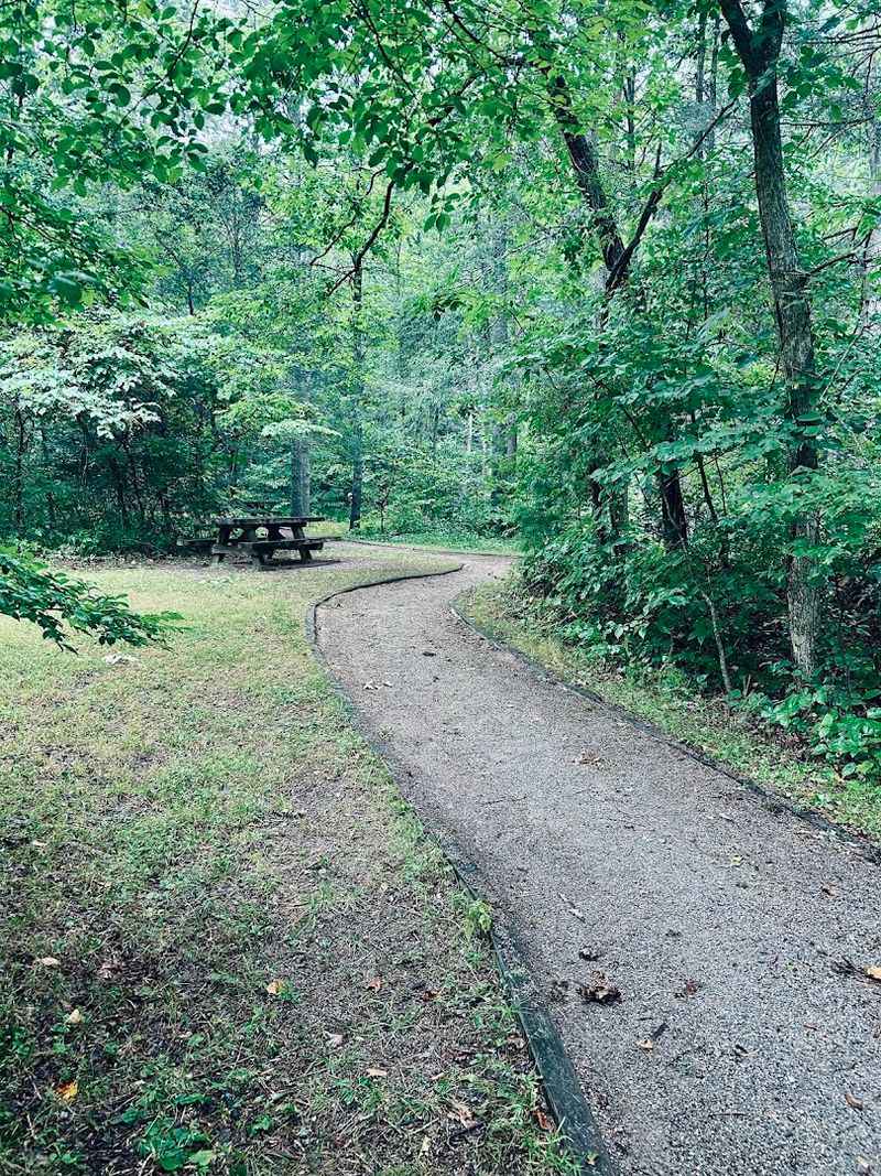 Picnic Areas and Facilities: Comfort Meets Nature Picnic Areas and Facilities: Comfort Meets Nature