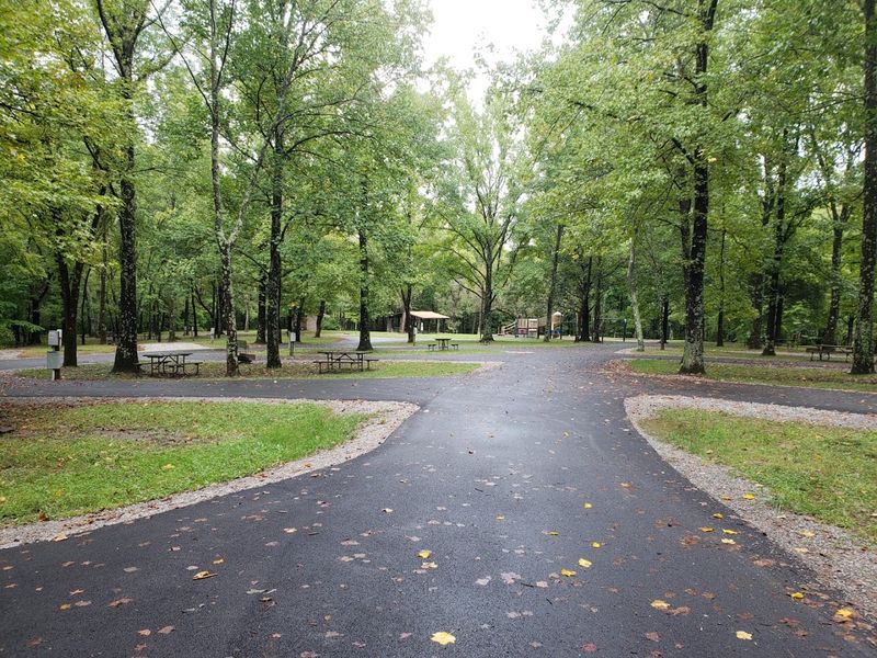Picnic Areas and Family Gathering Spots
