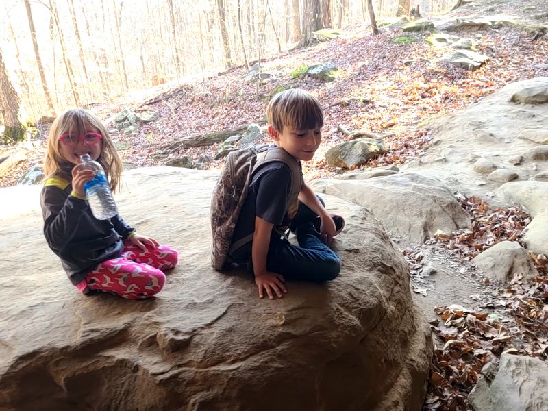 Picnic Areas and Pavilions Perfect for Family Gatherings