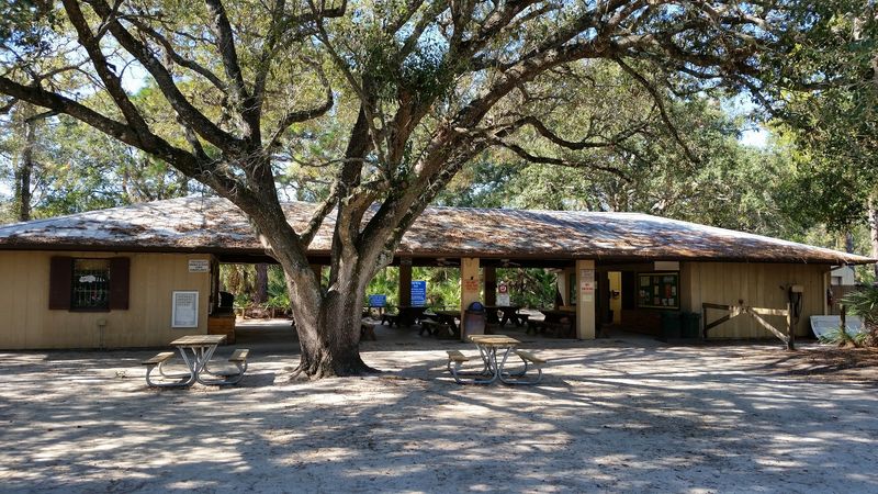 Picnic Areas and a Pavilion for Relaxed Gatherings Picnic Areas and a Pavilion for Relaxed Gatherings