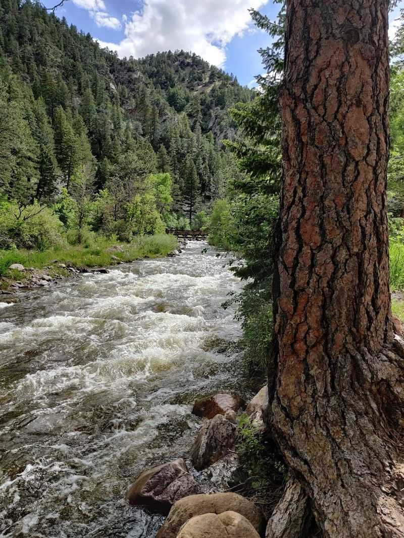Picnic Areas by the Creek: Colorado Dining at Its Finest
