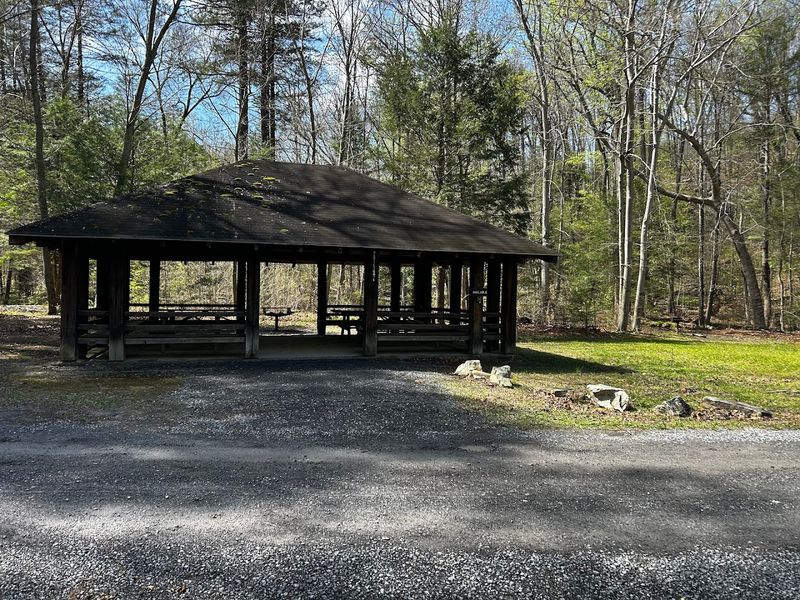 Picnic Pavilions and Stone Fireplaces Built for Relaxing Picnic Pavilions and Stone Fireplaces Built for Relaxing