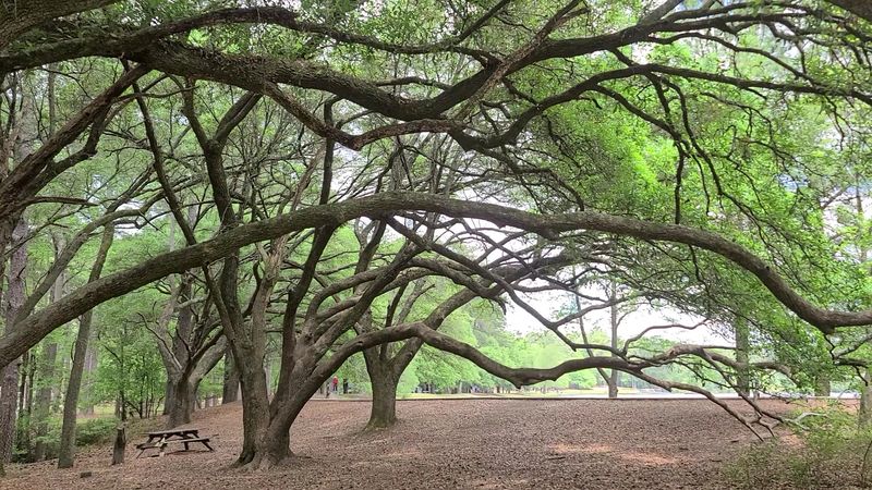 Picnic Shelters and Scenic Outdoor Dining Picnic Shelters and Scenic Outdoor Dining