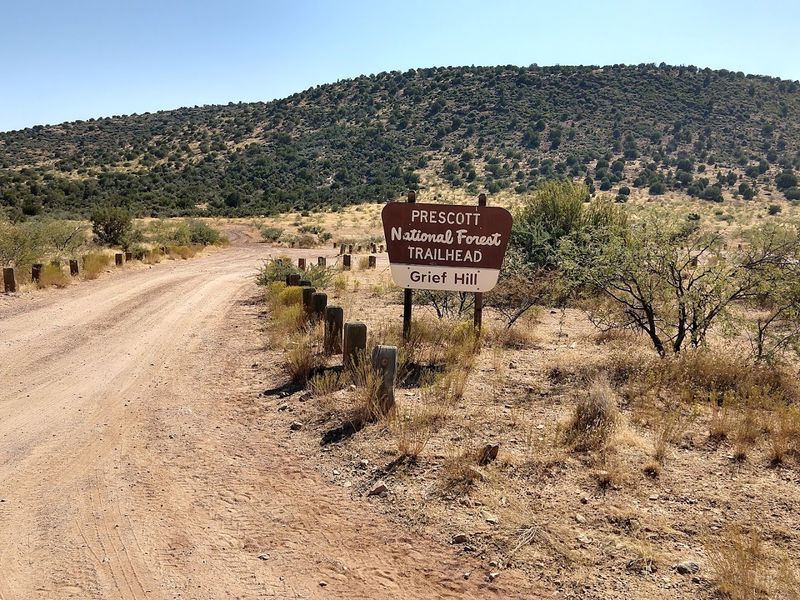 Picnic Spots, Clean Facilities, and a Forest That Truly Cares