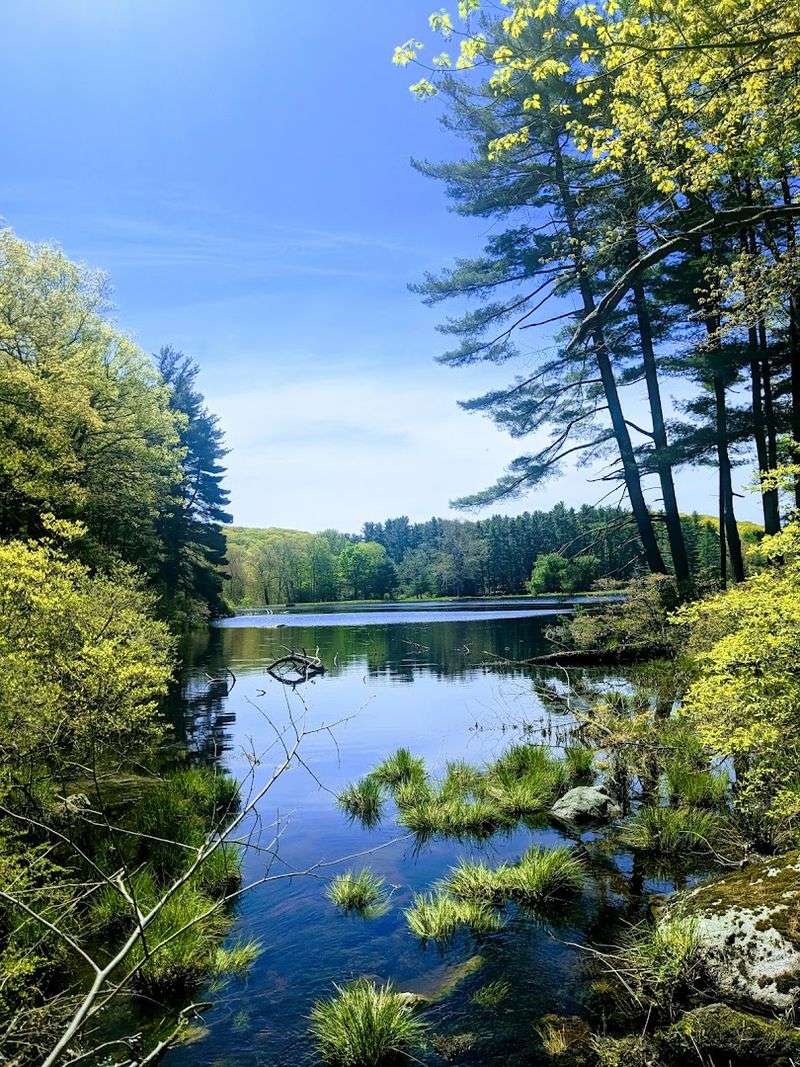 Picnic Spots Perfect for a Family Outing