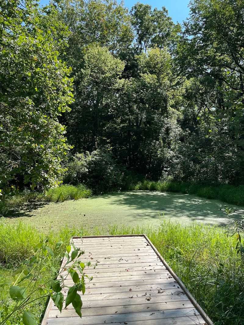 Picnic Spots and Family Rest Areas Along the Trail Picnic Spots and Family Rest Areas Along the Trail