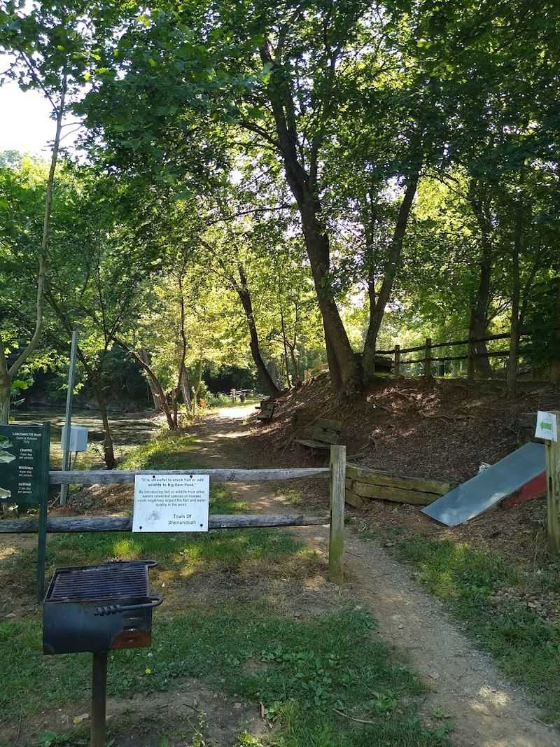 Picnic Spots and Outdoor Grilling Areas