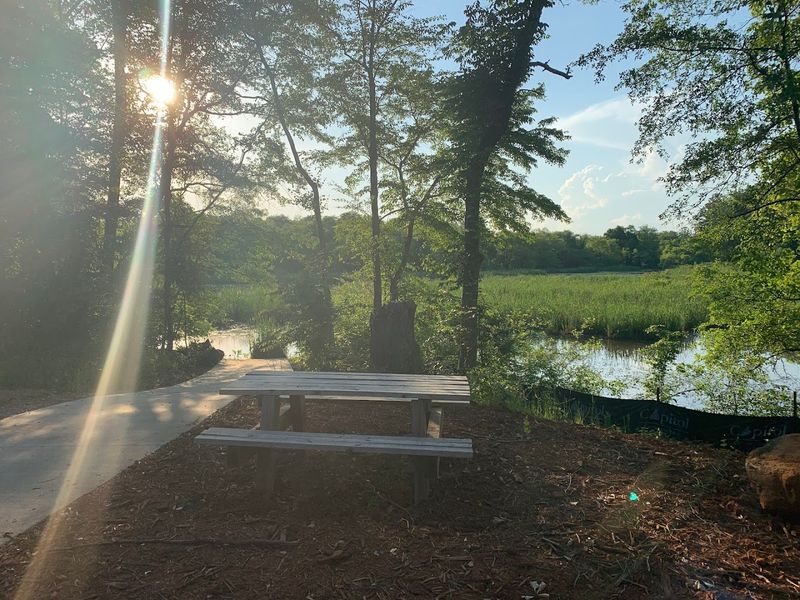 Picnic Tables Make It A Perfect Family Outing Spot Picnic Tables Make It A Perfect Family Outing Spot